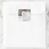 Stickers Vacances Samoyed—20 Carrés Arrondis (Sac)