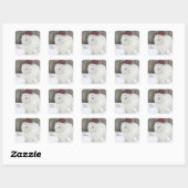 Stickers Vacances Samoyed—20 Carrés Arrondis (Feuille)