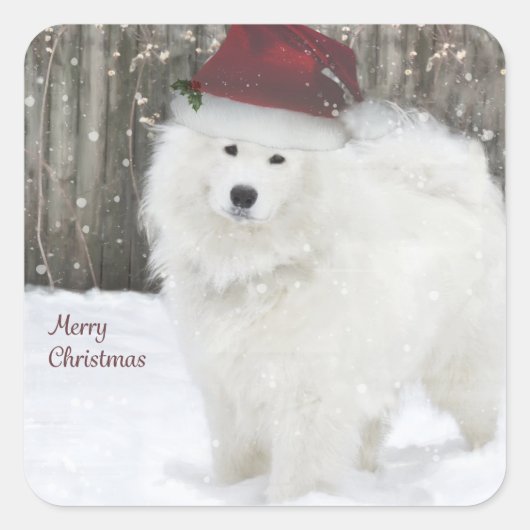 Stickers Vacances Samoyed—20 Carrés Arrondis (Devant)