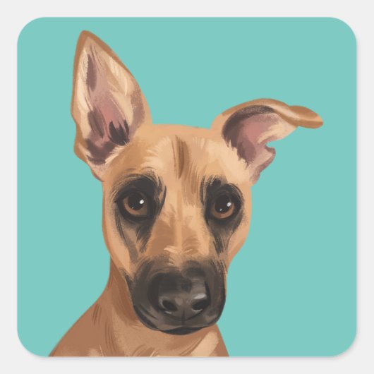 Stickers Vaden Jones (Devant)