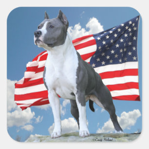 stickers van American Staffordshire Terrier (Pit B