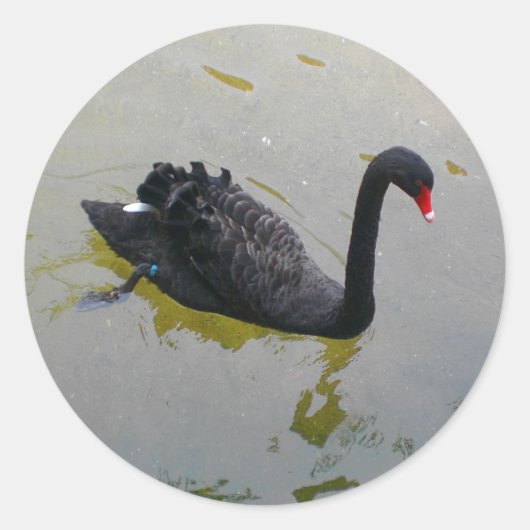 Stickers van Black Swan (Voorkant)
