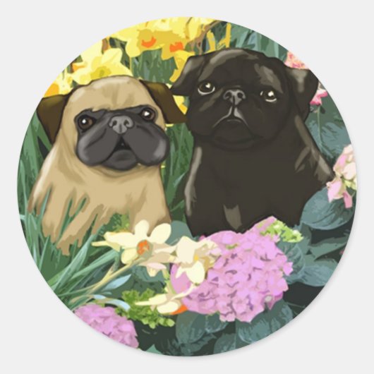Stickers van edelveren (Voorkant)