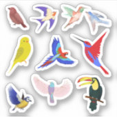 Stickers van kleurrijke vogels (Voorkant)