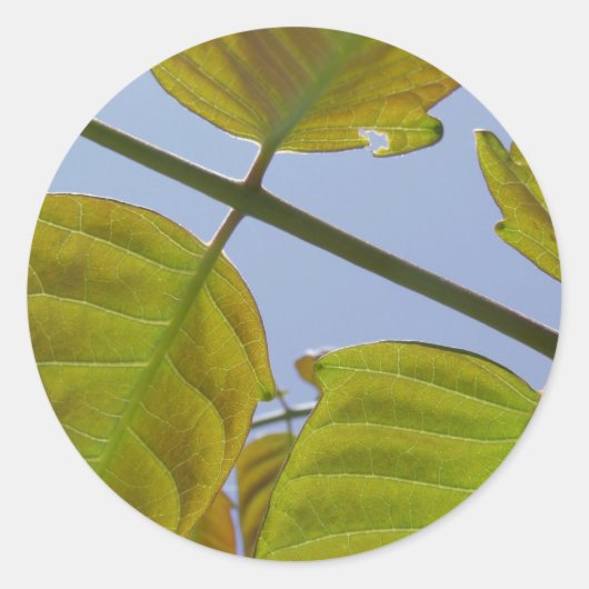 Stickers van leder (Voorkant)