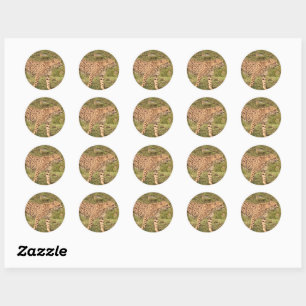 Stickers van luipaard