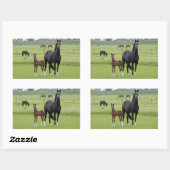 Stickers van paarden (Vel)