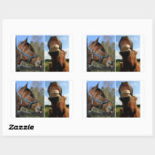 Stickers van paarden (Vel)