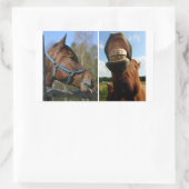 Stickers van paarden (Tas)