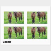 Stickers van paarden (Vel)