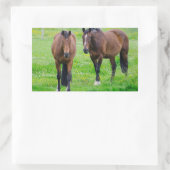 Stickers van paarden (Tas)