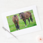 Stickers van paarden (Envelop)