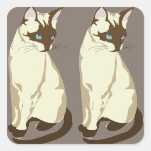 Stickers van siamese katten