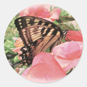 Stickers van tijger Swallowtail