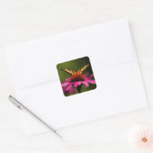 Stickers van tijger Swallowtail Butterfly (Envelop)