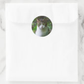 stickers van tuinkatten (Tas)