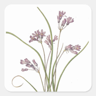 Stickers van wilde bloemen