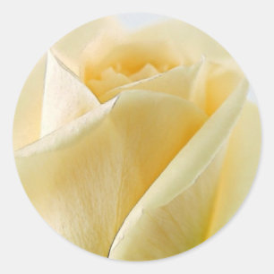 Stickers van witte rozen en envelopsluitingen