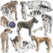 Stickers vel Great Danes (Voorkant)
