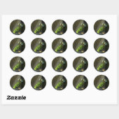 Stickers Vin blanc et Raisins verts (Feuille)