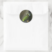 Stickers Vin blanc et Raisins verts (Sac)