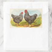 Stickers vintage Barres Plymouth Rock (Sac)