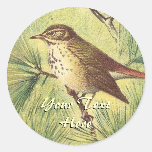 Stickers vintage Hermit Thrush (Devant)