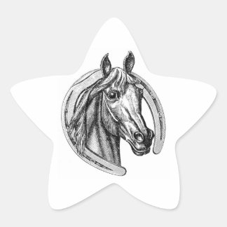 Stickers vintage Horse et Horseshoe Star