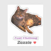 Stickers Vinyle Coupé Sur Mesure (Feuille)