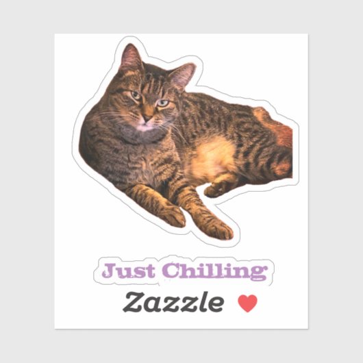 Stickers Vinyle Coupé Sur Mesure (Feuille)