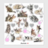 Stickers Vinyle Kiss-Cut Photo Chat (Feuille)