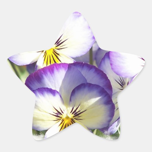 Stickers Violas blanc et violet (Devant)