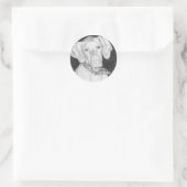 Stickers Vizsla (Sac)