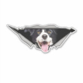 Stickers voiture chien (Devant)