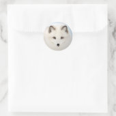 Stickers voor Arctic Fox (Tas)