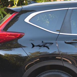 STICKERS VOOR AUTO’S ETC