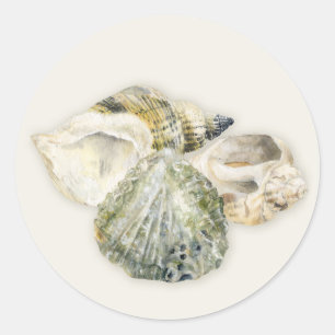 Stickers voor het binden van strandschelpen