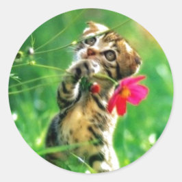 Stickers voor het vormen van keukens