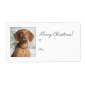 Stickers voor kerstcadeaus Vizsla (Voorkant)