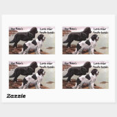 Stickers voor  Newfoundland Lunch Protection (Vel)