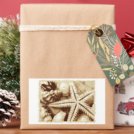 Stickers voor zeescholen