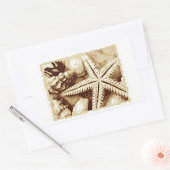 Stickers voor zeescholen