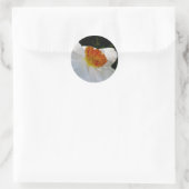 Stickers White Orange Narcisse (Sac)