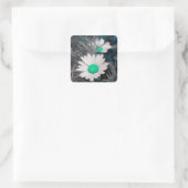 Stickers White Shasta Daisy (avec Aqua) (Sac)