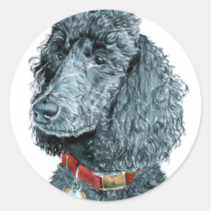 Stickers Whitney Black Poodle
