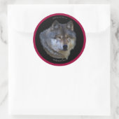 Stickers WILY GRAY WOLF Wildlife (Sac)
