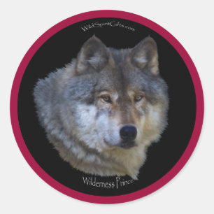 Stickers WILY GRAY WOLF Wildlife