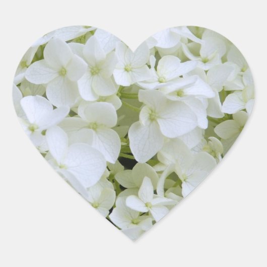 Stickers - Witte hortensia (Voorkant)