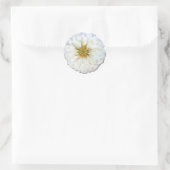 Stickers - Witte Zinnia (Tas)