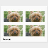 Stickers Yorkshire Terrier (Feuille)